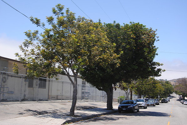 DSC 0285