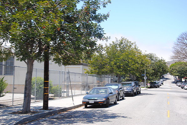 DSC 0287