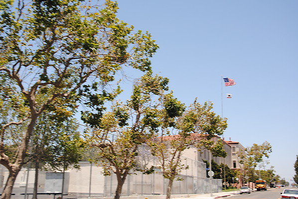 DSC 0262