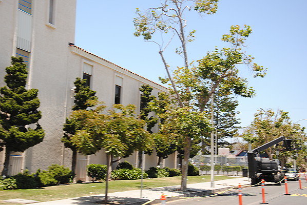 DSC 0268