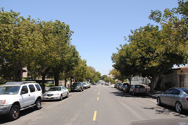 DSC 0214