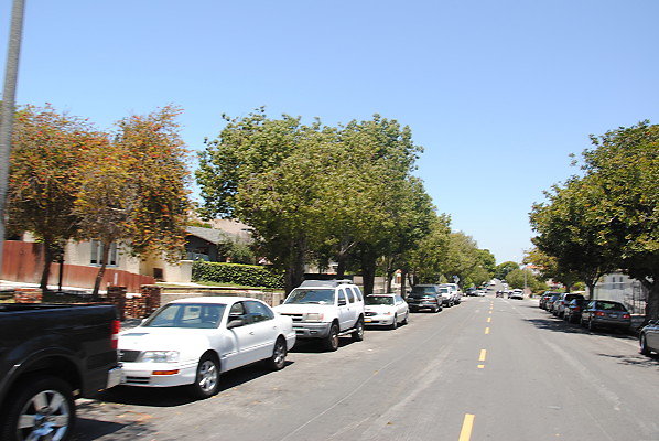 DSC 0213