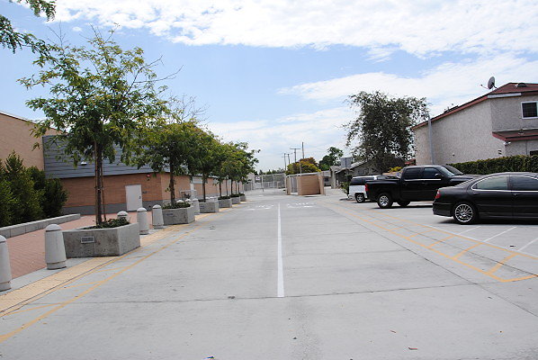 DSC 0005