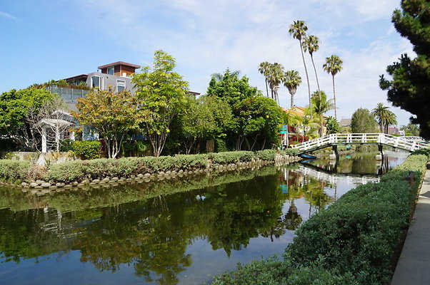 DSC05781