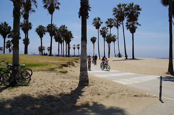 Horizon.Bike.Path.Turnout.Venice