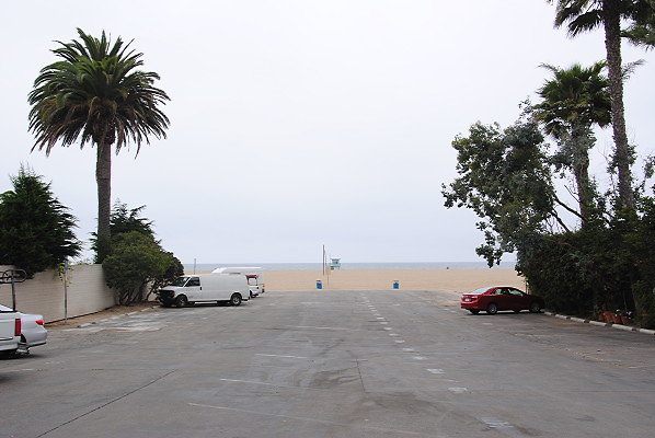 DSC 0095