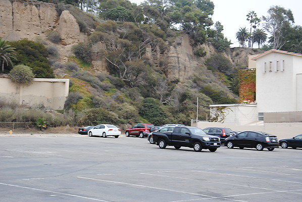 DSC 0074