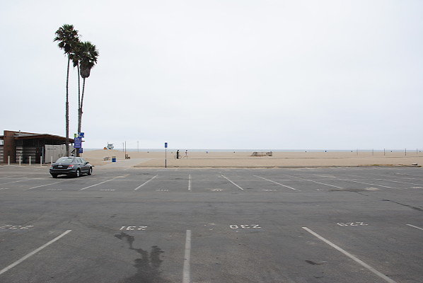 DSC 0050