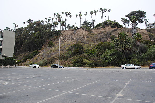 DSC 0065