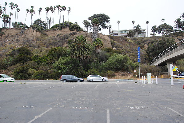 DSC 0067