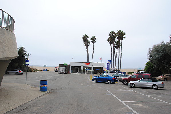 DSC 0100