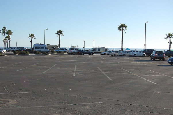 DSC 0081