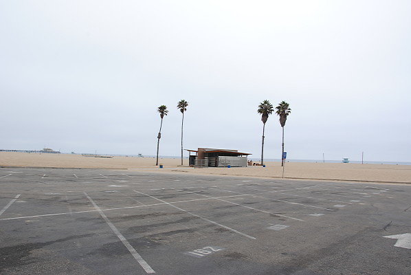 DSC 0131