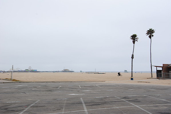 DSC 0142