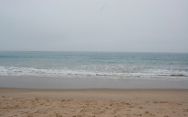DSC 0028