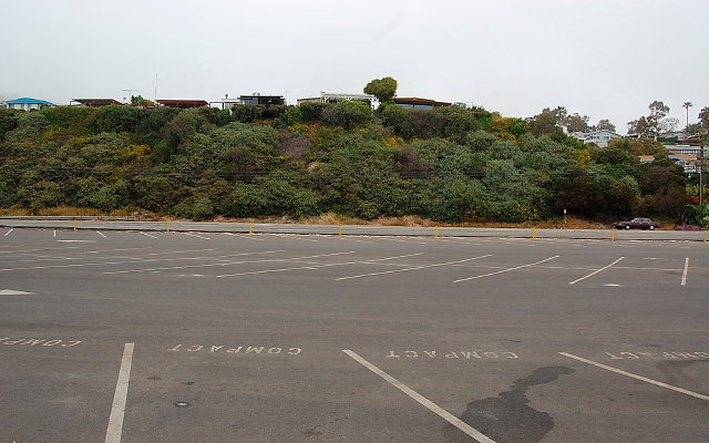 DSC 0014