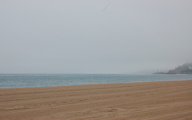 DSC 0018