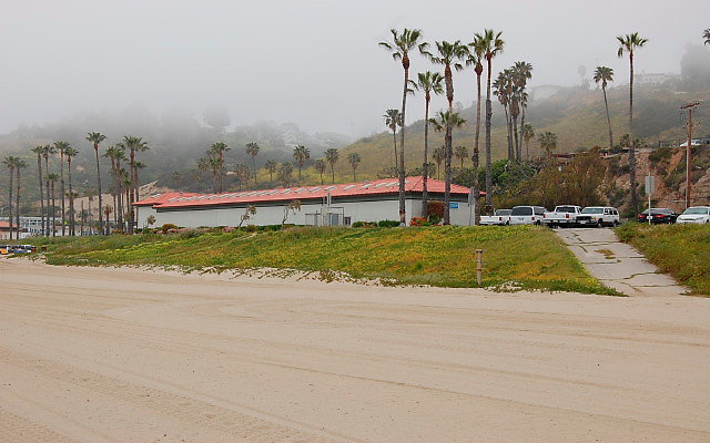 DSC 0020