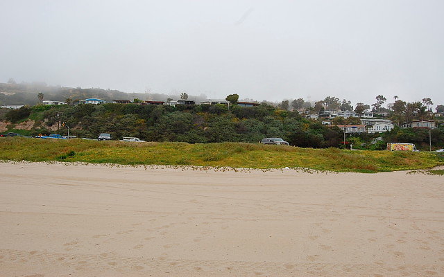 DSC 0022