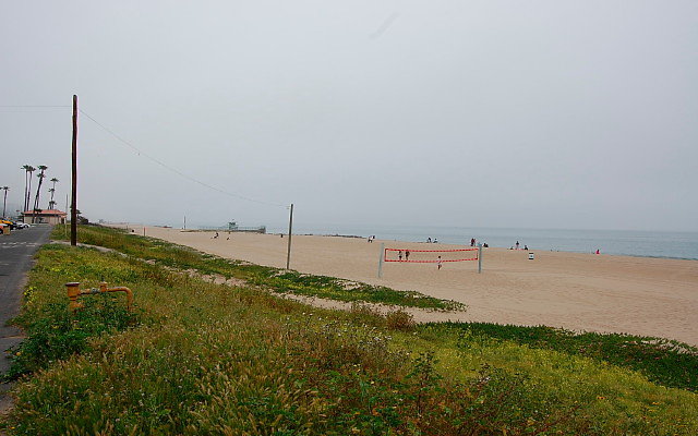 DSC 0004