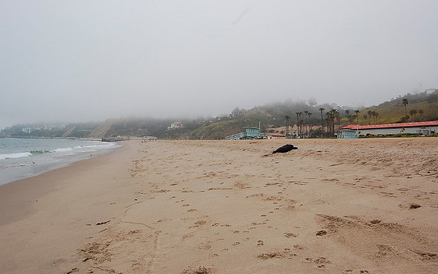 DSC 0035