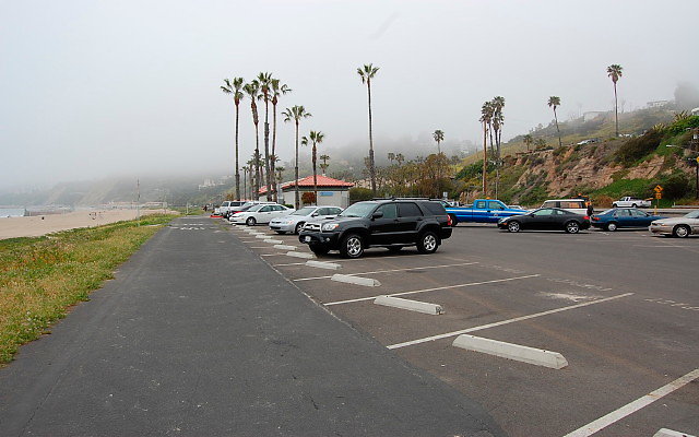 DSC 0007