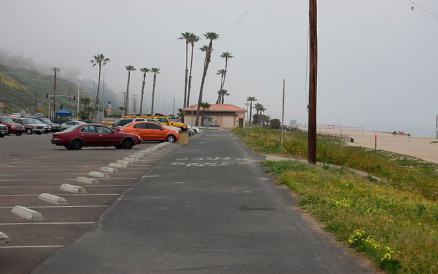 DSC 0011