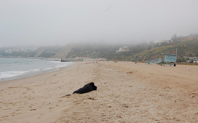 DSC 0030