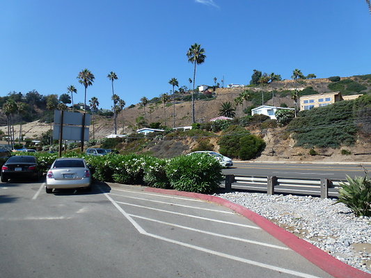 P1010782