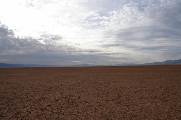 DSC02598
