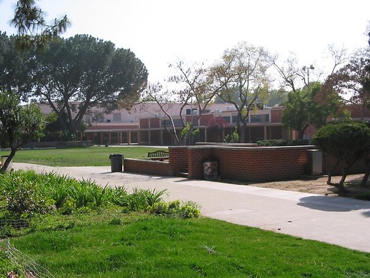 203-0353 IMG