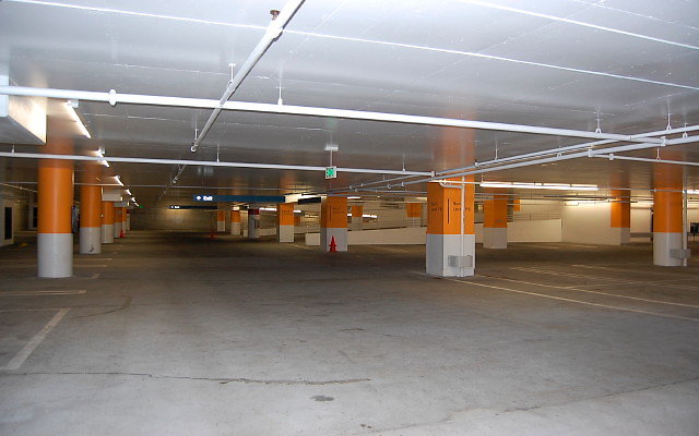 DSC 0008