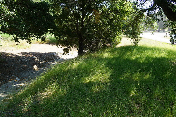 GO.Heil.Cyn.Ravine.17