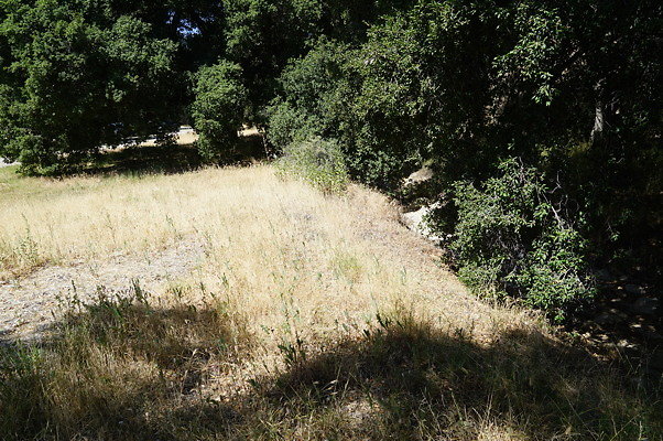 GO.Heil.Cyn.Ravine.18