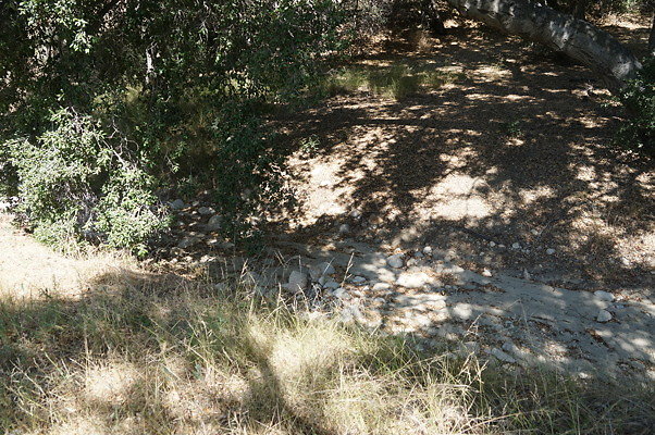 GO.Heil.Cyn.Ravine.14