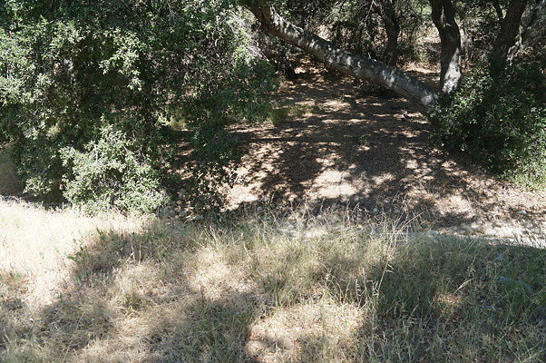 GO.Heil.Cyn.Ravine.11