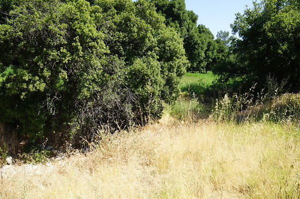 GO.Heil.Cyn.Ravine.06