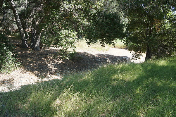 GO.Heil.Cyn.Ravine.13