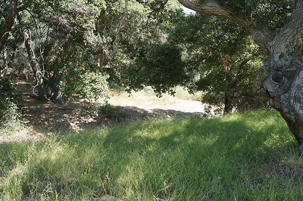 GO.Heil.Cyn.Ravine.10