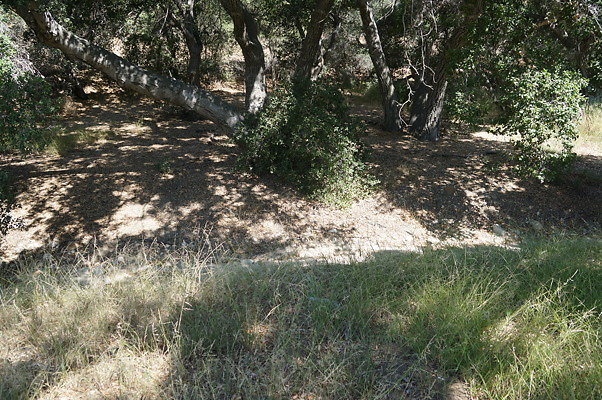 GO.Heil.Cyn.Ravine.12