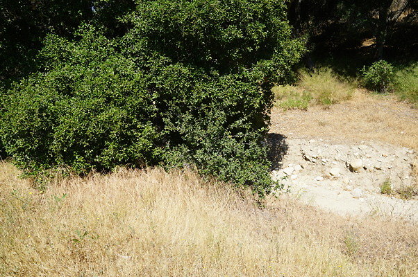 GO.Heil.Cyn.Ravine.04