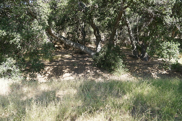 GO.Heil.Cyn.Ravine.09