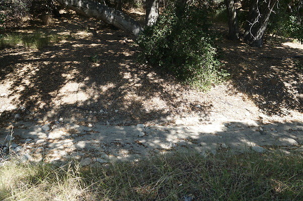 GO.Heil.Cyn.Ravine.15