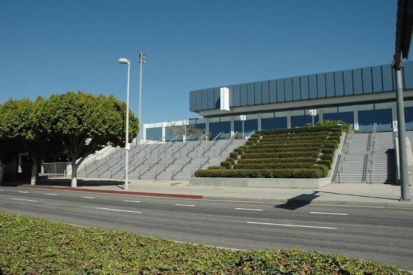 DSC 0342