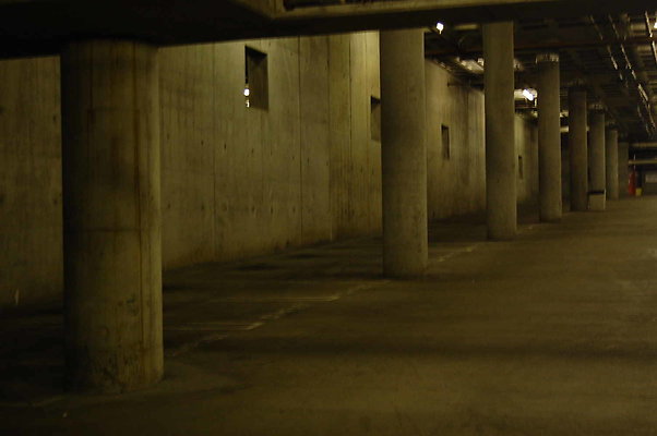 DSC 0050