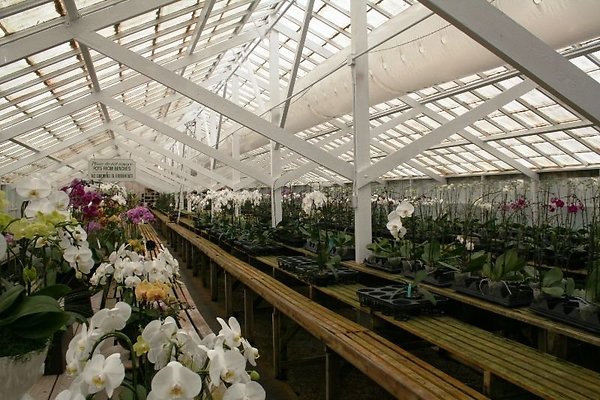 Greenhouse.4630.Malibu Locations.Zuma Orchids02
