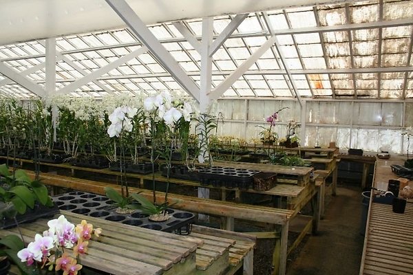 Greenhouse.4630.Malibu Locations.Zuma Orchids13