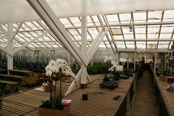 Greenhouse.4630.Malibu Locations.Zuma Orchids19