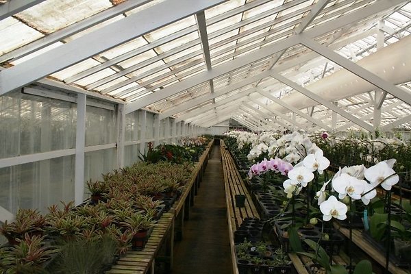 Greenhouse.4630.Malibu Locations.Zuma Orchids14