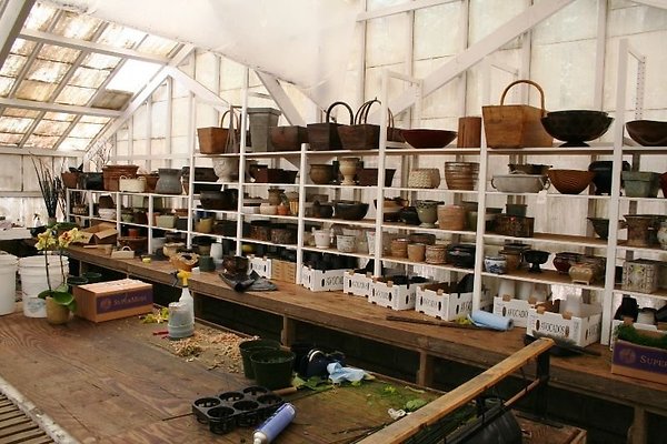 Greenhouse.4630.Malibu Locations.Zuma Orchids12